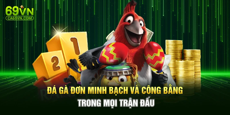 Đá gà đơn minh bạch và công bằng trong mọi trận đấu