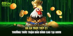 Đá Gà Trực Tiếp C1 – Thưởng Thức Trận Đấu Đỉnh Cao Tại 69VN