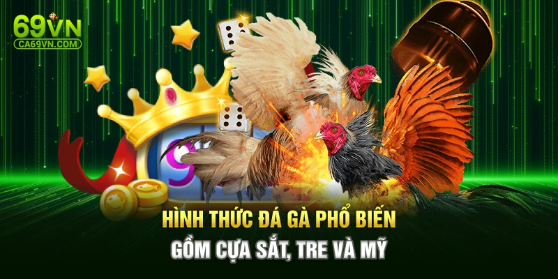 Hình thức đá gà phổ biến gồm cựa sắt, tre và Mỹ