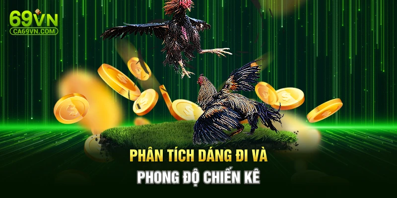 Phân tích dáng đi và phong độ chiến kê